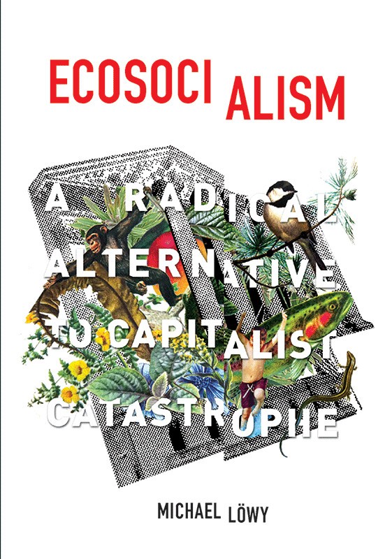 Ecosocialism
