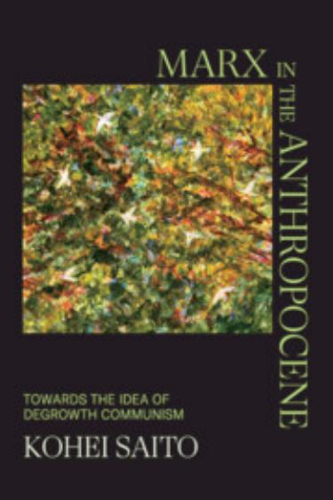 Marx in the Anthropocene Towards the Idea of Degrowth Communism (Kohei Saito) (Z-Library)